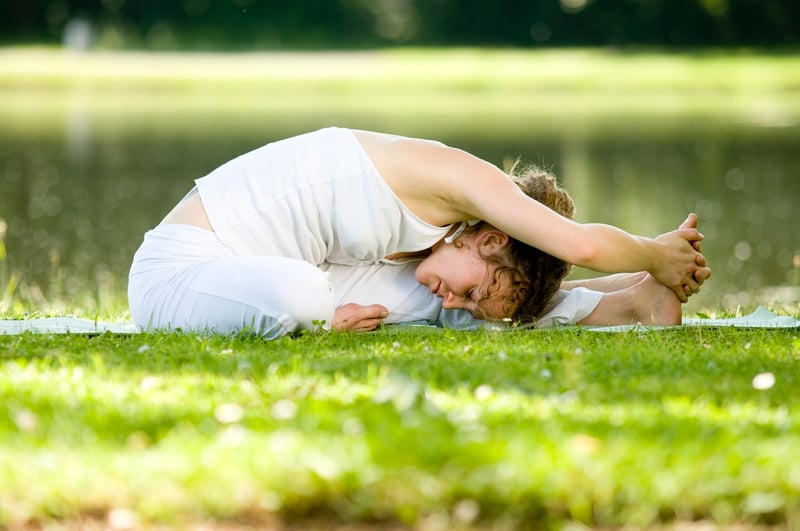 Vinyasa Flow Yoga Pose
